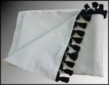 Conjunto cortinas RENAULT PREMIUM, con franjas negras