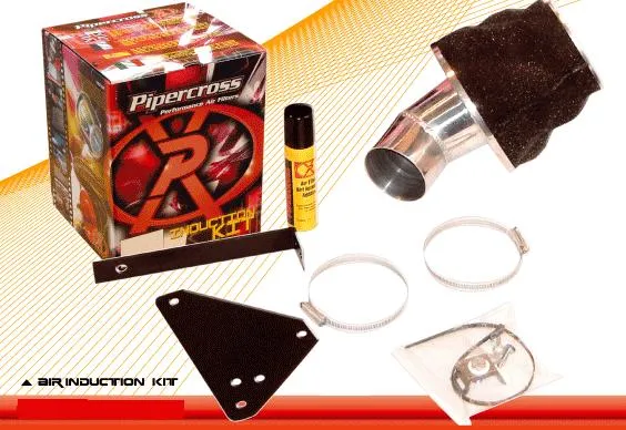Filtro Induction Kit Ford Mondeo Mk3 3.0 St220 Año 09/01 -  Standard