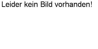 Tubo de repuesto para Silenciador delantero FOX Mini Cooper Clubman R55